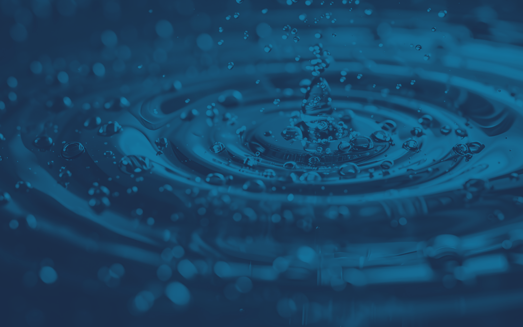 Human Security Risk: Waterholing and Targeted Website Traps