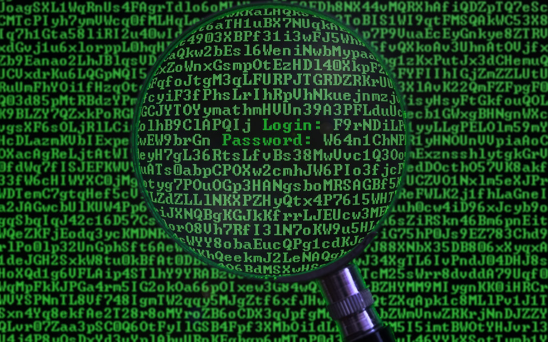 lines of code in green with a magnifying glass over username and password lines